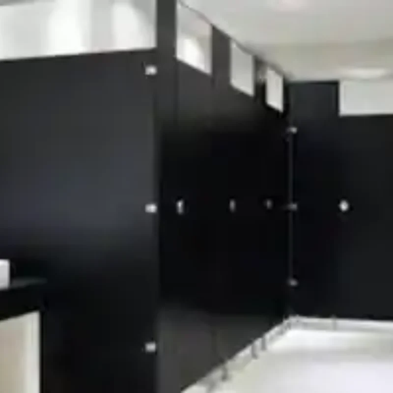 Mamparas sanitarias de sólido fenólico color negro mate con herrajes cromados instaladas en sanitarios públicos de centro comercial en Roma Norte, Alcaldía Cuauhtémoc, CDMX — Mamparas Funcionales